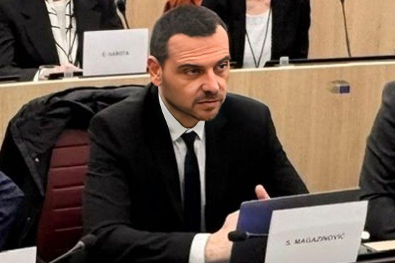 Предсједавајући Клуба посланика СДП-а у Представничком дому Саша Магазиновић у  Европском парламенту